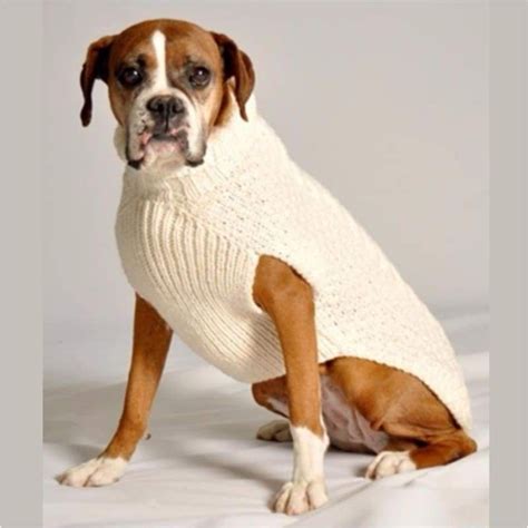 Cable Knit Wool Dog Sweater in Cream | Cappotti di cane, Maglioni per ...