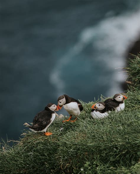 5 Easy Hiking Trails in the Faroe Islands