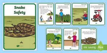 Snake Facts for Kids - Twinkl Homework Help