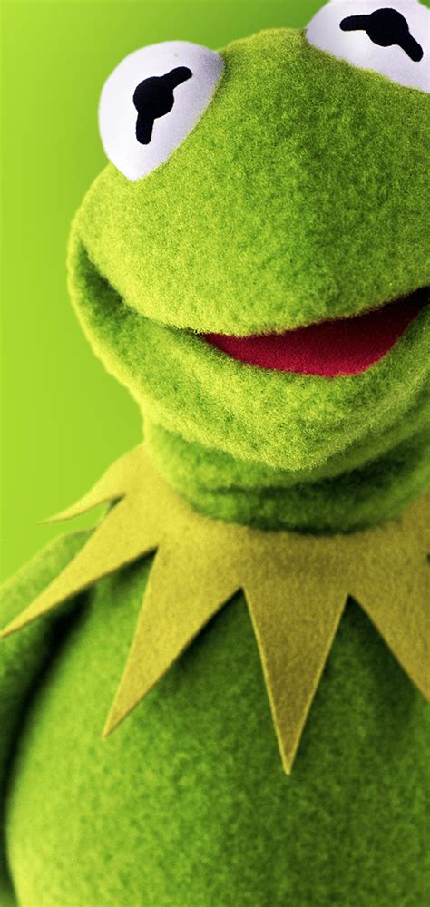 Kermit the Frog HD Wallpapers on WallpaperDog