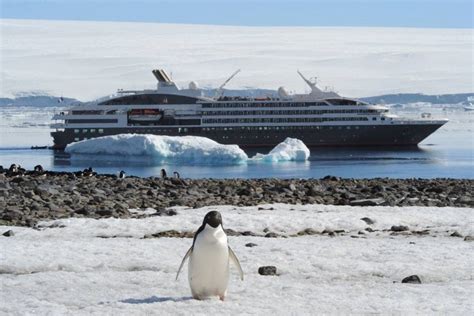 Antarctica Ships and Cruises | Eclipse Travel Small Ship Expeditions