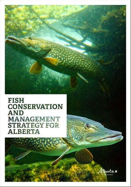 Bow River Shuttles: Fish Conservation and Management Strategy