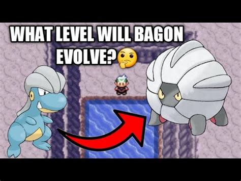 Pokemon Bagon Evolution Chart | My XXX Hot Girl