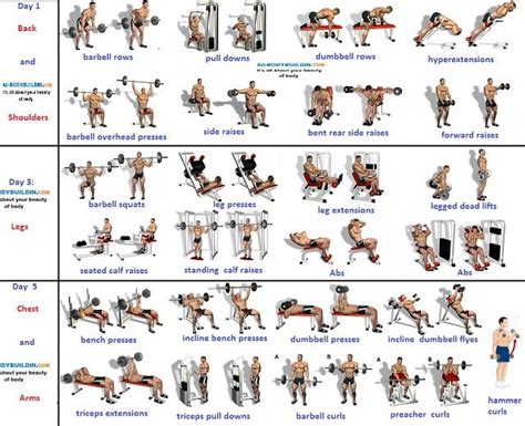 3 day Workout Routines Workout Plan For Men, Gym Workouts For Men, Weight Training Workouts, Gym ...