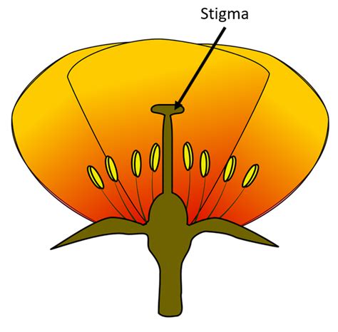 Stigma - Key Stage Wiki