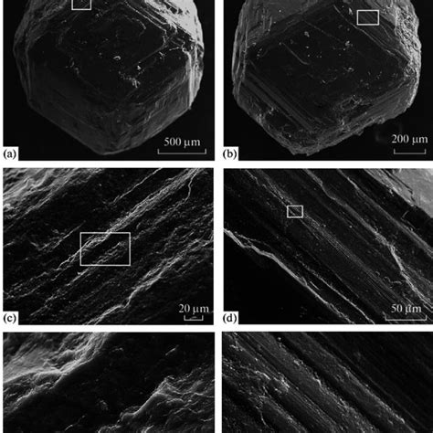 Recrystallised granoblastic granulite texture in norite (AMGC complex,... | Download Scientific ...