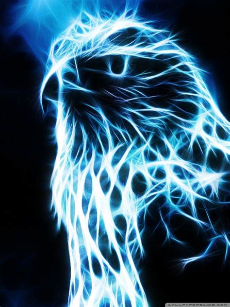 Neon Eagle Wallpapers - Top Free Neon Eagle Backgrounds - WallpaperAccess