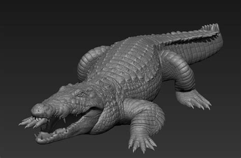 Nile Crocodile study by SinKunArts Animal Sketches, Animal Drawings, Alligators, Wood Carving ...