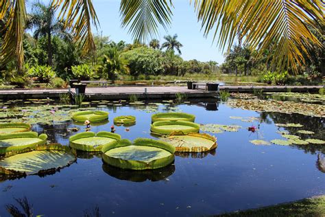 My Naples Favorites: Naples Botanical Garden - Friley Saucier