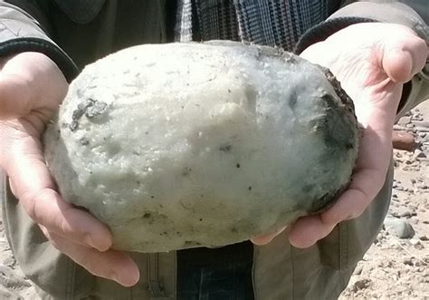 Couple Set To Make £50,000 From Lump Of Vomit They Found On The Beach ...