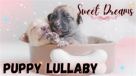 🥱🐶🌜Calming Sleep Music for Dogs🎵 | 💞Puppy Lullabies 💞 | Relaxing Music ...