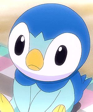 7 Piplup (Pokémon) Gifs - Gif Abyss