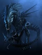 Xenomorph Queen | Alien Wiki | Fandom