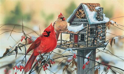 Winter Cardinal Desktop Wallpapers - Top Free Winter Cardinal Desktop Backgrounds - WallpaperAccess