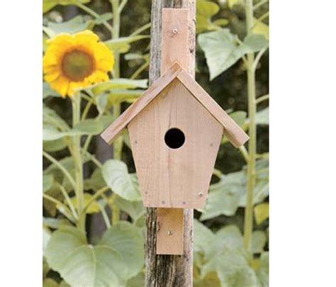 DIY Bird House PLANS Easy Beginner Garden Build Plans Vintage Instant ...