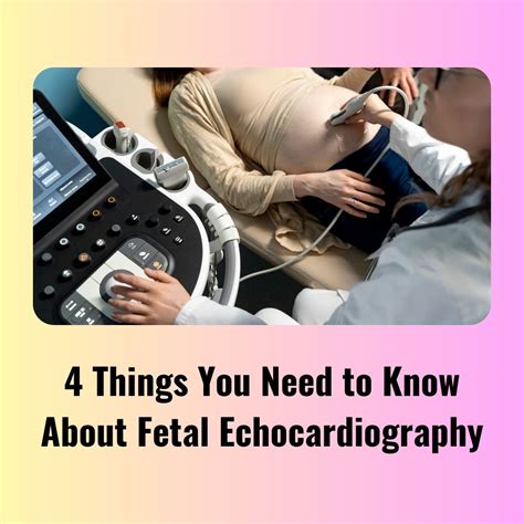 4 Things You Need to Know About Fetal Echocardiography services