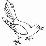 Cuckoo Coloring Template Clock Pages Kids Sundial Time Clocks Gif  sketch template