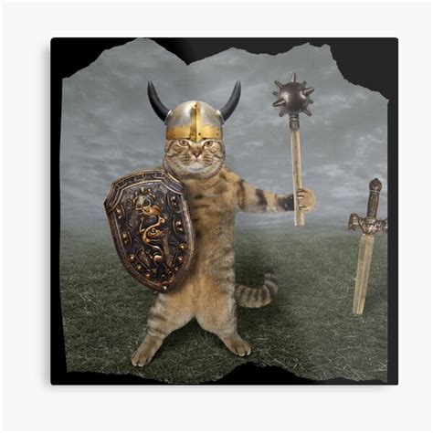 Viking Cat Meme | ubicaciondepersonas.cdmx.gob.mx