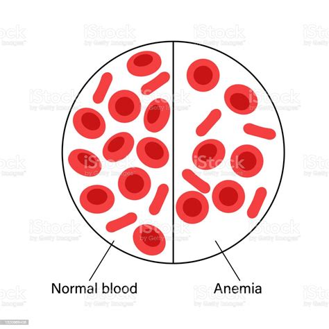 Blood Structure Concept Stock Illustration - Download Image Now ...