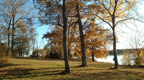 Paris Landing State Park Camping — Tennessee State Parks