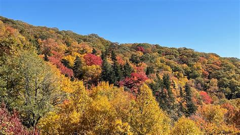 Fall Foliage - Blue Ridge Parkway in North Carolina! From Boone to Cherokee, NC on October 14 ...