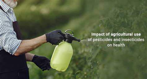 Insecticides And Pesticides