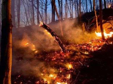 Numerous Wildfires Reported in Upstate New York - New York Almanack