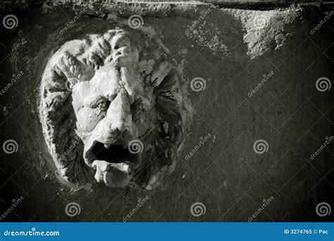 Lion head sculpture stock image. Image of open, lion, contrast - 3274765