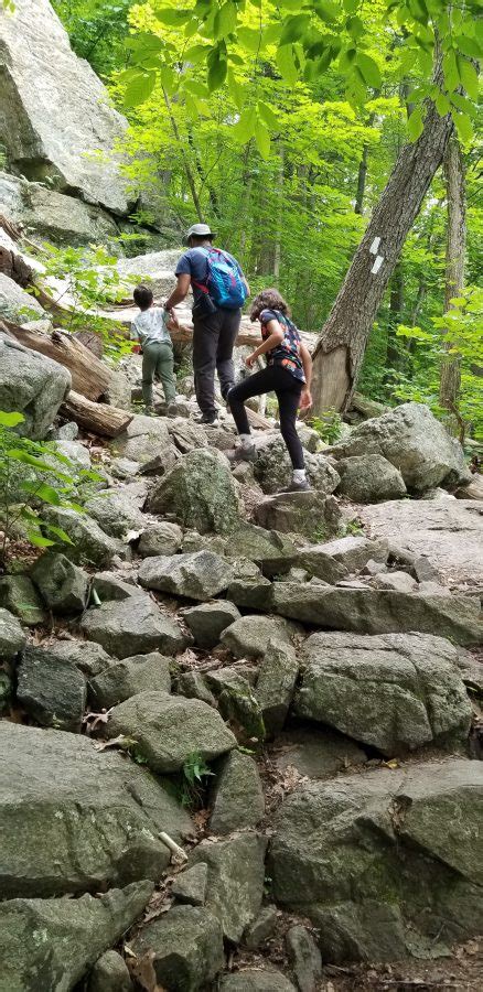 Hike the Stairway to Heaven Trail in Wawayanda State Park – Jersey ...