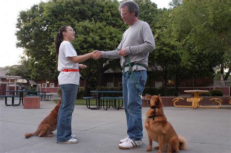 Dog Training Classes Can and Should Be More than Sit, Stay, Stand – Dr. Sophia Yin Dog Training ...