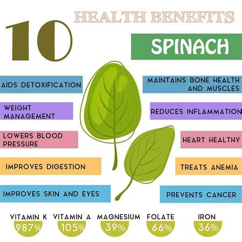 Health Benefits Of Spinach: An Impressive Superfood