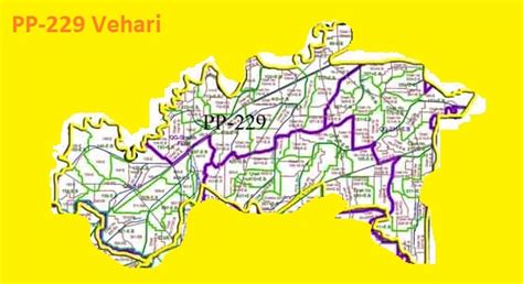 PP-229 Vehari Area, Map, Candidates and Result