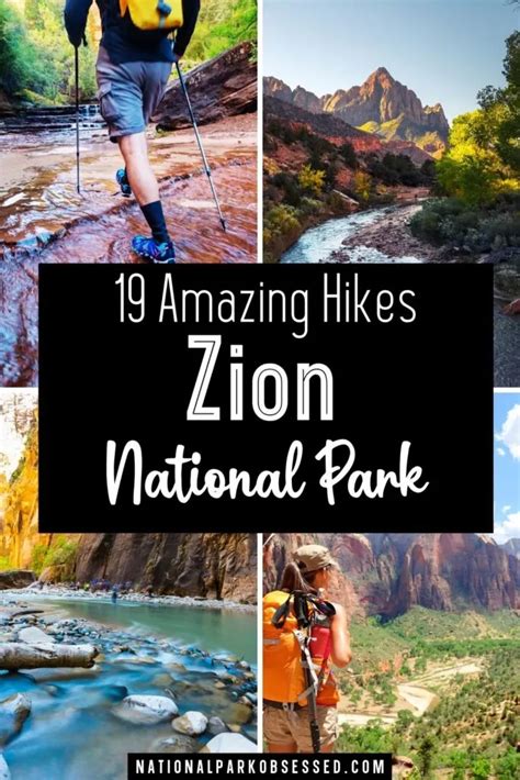 15 ABSOLUTE Best Hikes In Petrified Forest National Park For 2022 ...