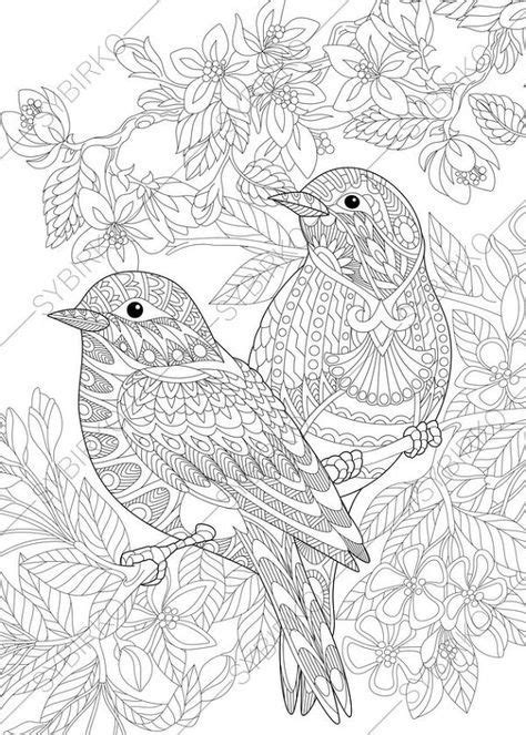 parrot coloring pages for adults - Liana Toth