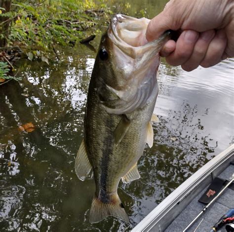 Kanawha River Bass Tournaments | Nitro WV