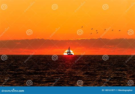 Sailboat Sunset stock image. Image of recreational, scenic - 100161871