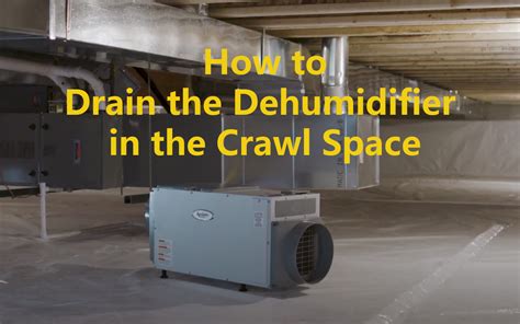 How to Drain the Dehumidifier in the Crawl Space?[Best place to install] - CarDehumidifiers.com