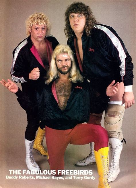 The Fabulous Freebirds | The fabulous freebirds, Wrestling superstars ...