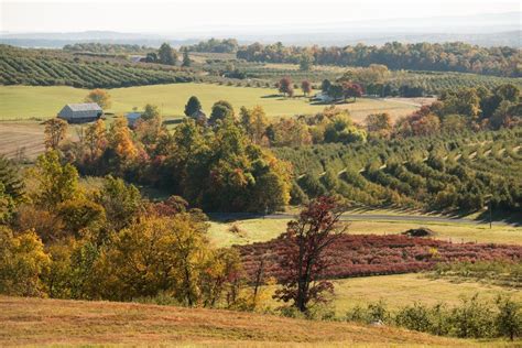 The Ultimate Guide to Pennsylvania's Best Fall Foliage Destinations