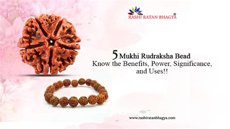 Rudraksha 5 Mukhi