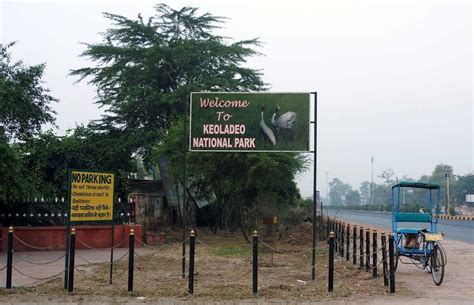 How to Visit the Bharatpur Bird Sanctuary in Keoladeo National Park