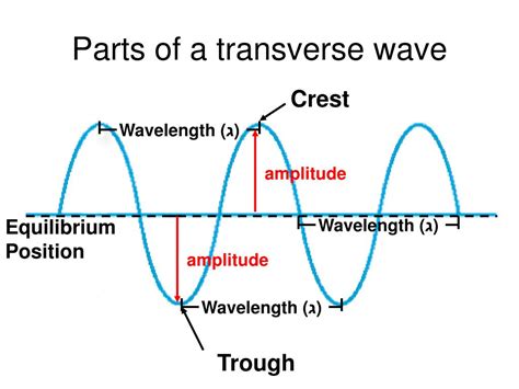 Transverse Wave Labelled Diagram - vrogue.co