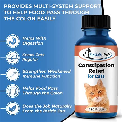 BestLife4Pets - Cats Constipation Relief and Stool Softeners - Natural ...