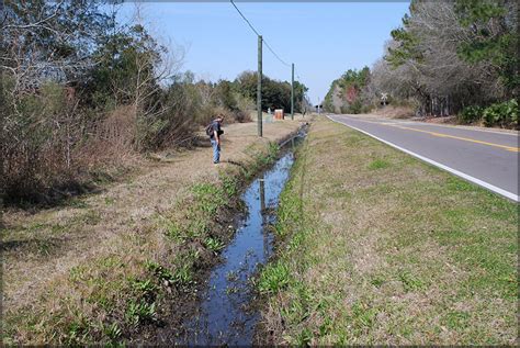 Roadside Drainage Ditch On Imeson Road, Jacksonville, Duval County, Florida