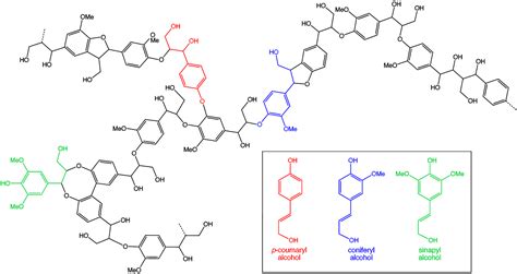 How about Lignin?: Lignin structure