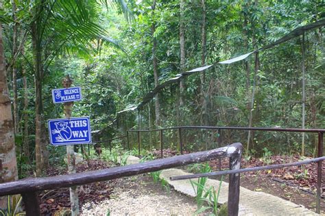 Juan Trip At A Time: Tarsier Conservation Area: Not Exactly A Conservation Sanctuary