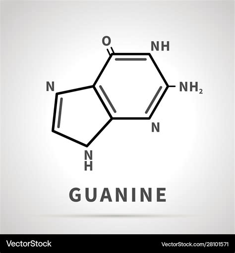 Chemical structure guanine one four Royalty Free Vector