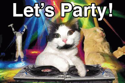 Lets Party 起来嗨 GIF - LetsParty Cats 起来嗨 - Discover & Share GIFs | Funny ...