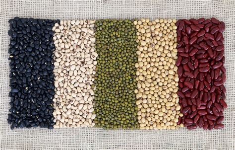 Wallpaper colors, beans, variety images for desktop, section текстуры ...