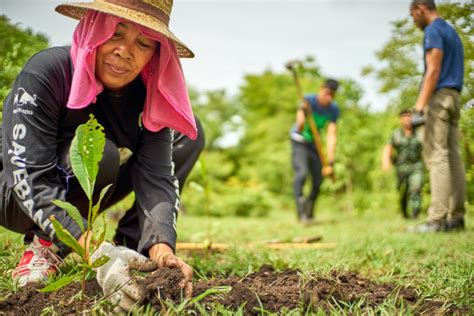 Jóvenes construyendo el futuro y Sembrando vida llegarán a Cuba y Haití